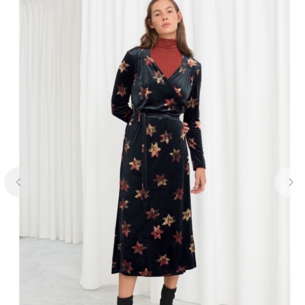 & other stories velvet dress
